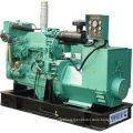 Cummins Marine Diesel Generator Three Phase With 40kw To 600kw